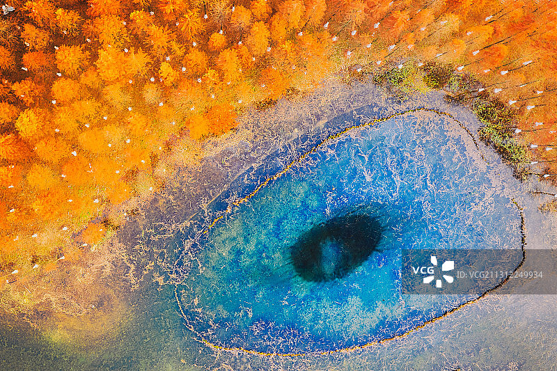 松雅湖网红水杉之恶魔眼图片素材