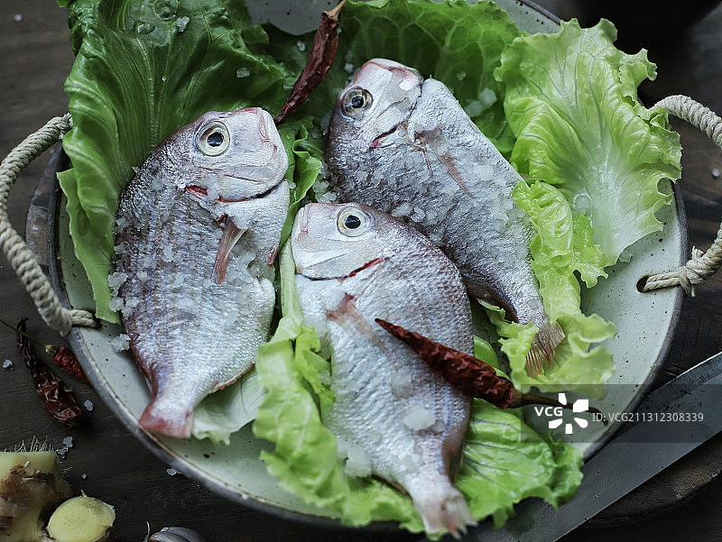 新鲜鱼图片素材