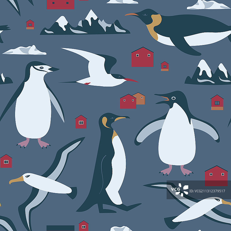 南极洲企鹅无缝图案图片素材