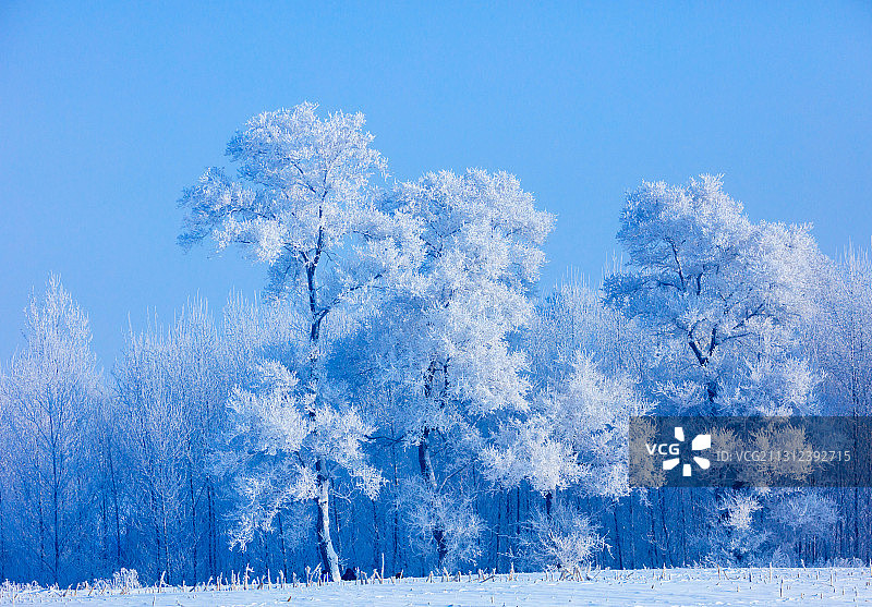 吉林市雾凇岛雾凇图片素材