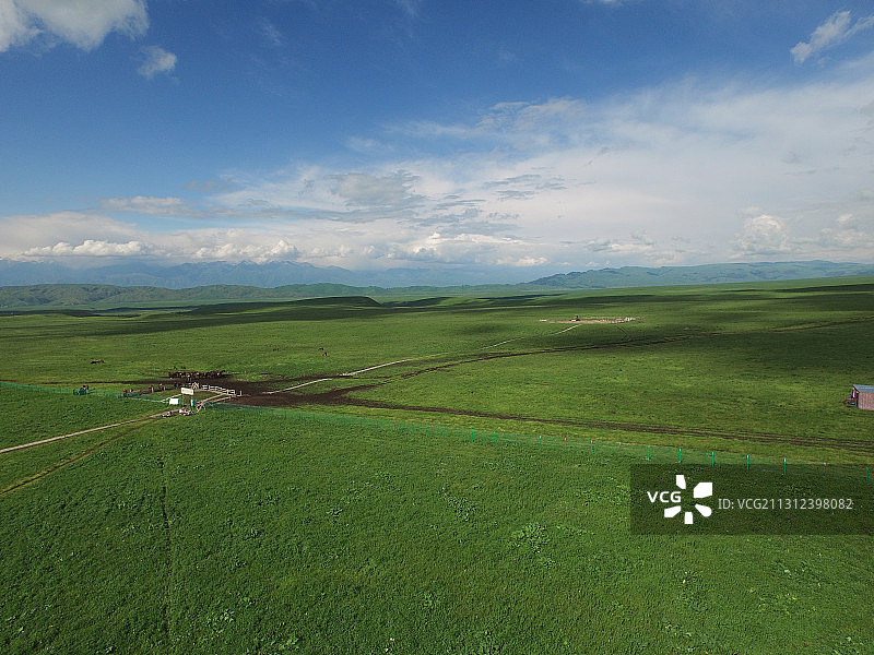中国新疆，巴音布鲁克大草原，航拍图片素材