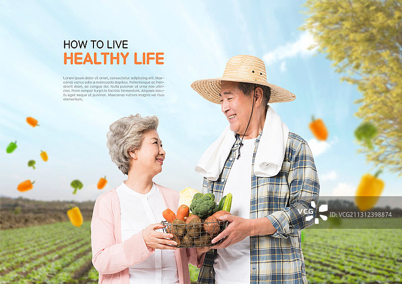 田野里，老年农民夫妇拿着蔬菜篮的健康生活图片图片素材