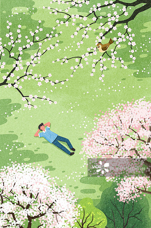 樱花树下草地上休息的男子插画图片素材