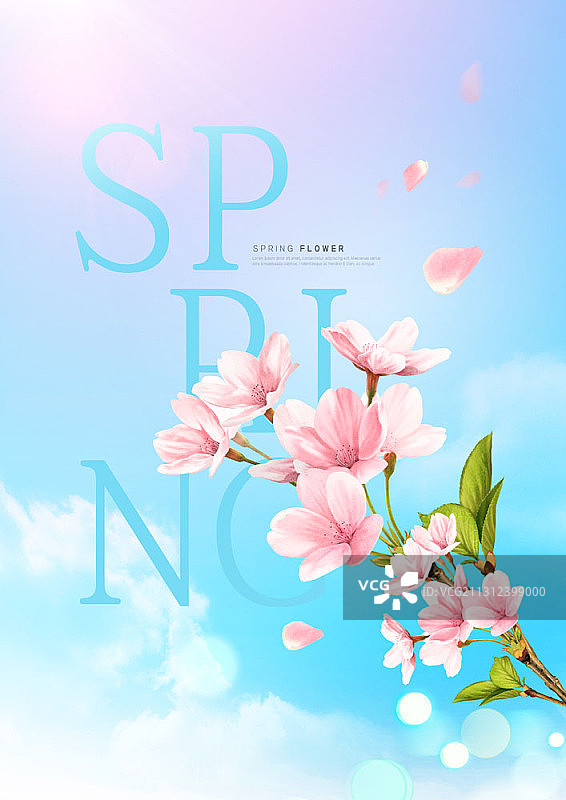 鲜花和天空背景图片素材