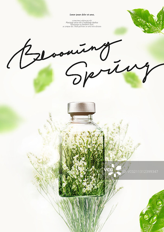满天星与香水瓶的春季概念图图片素材