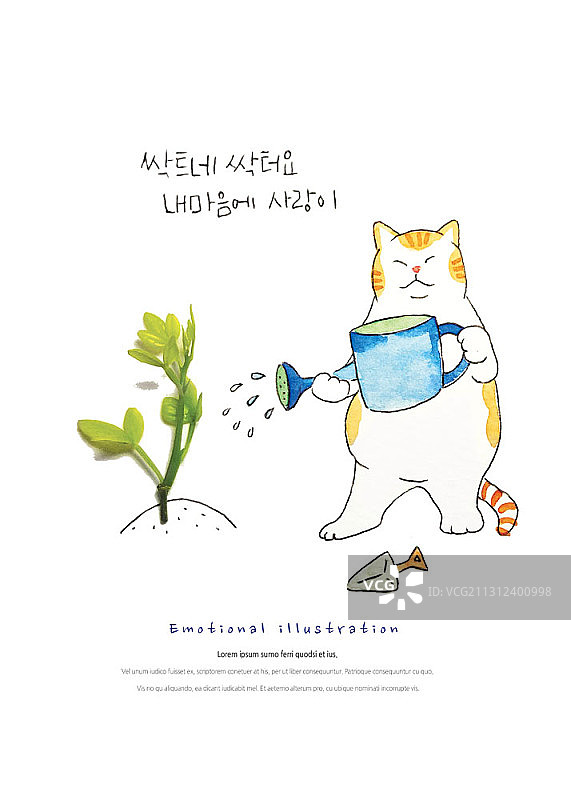 猫用喷壶给植物浇水的编辑图像图片素材