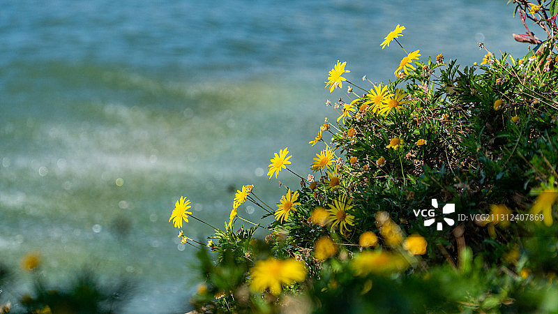 大理 洱海 南绍风情岛图片素材