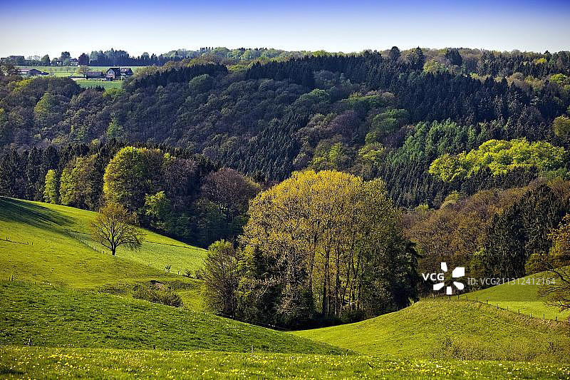 德国北莱茵-威斯特法伦州拉德福尔姆瓦尔德的春季草地和森林丘陵景观图片素材