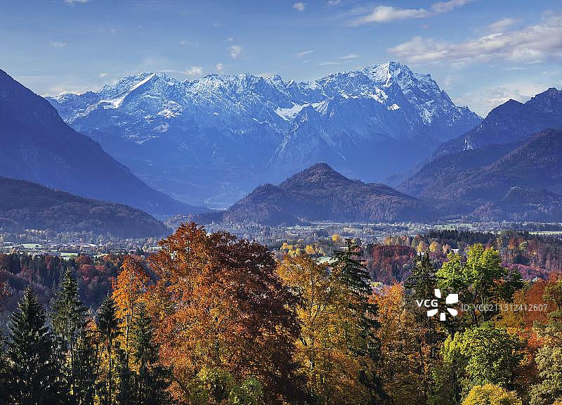 德国上巴伐利亚州慕尔瑙地区的秋季苔藓景观图片素材