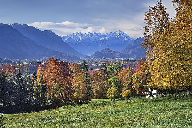 德国上巴伐利亚州慕尔瑙地区的秋季苔藓景观图片素材