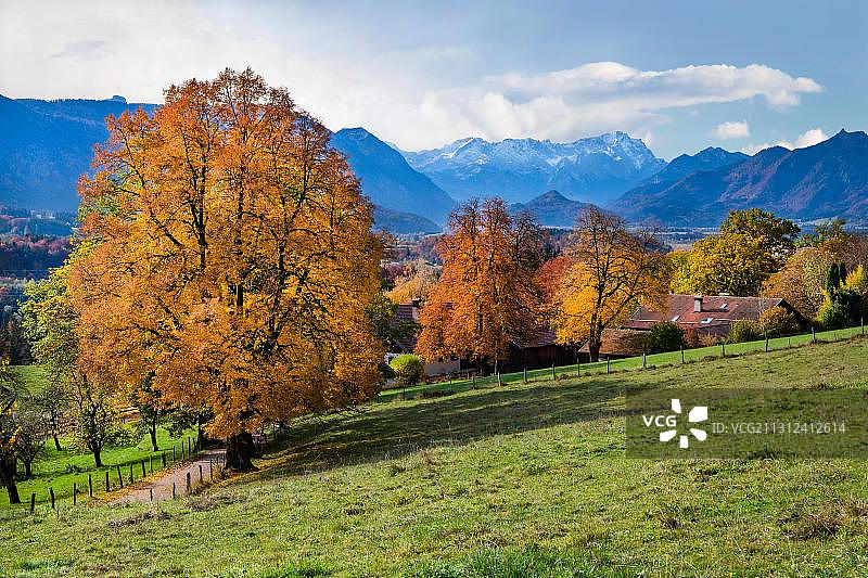 德国上巴伐利亚州慕尔瑙地区的秋季苔藓景观图片素材