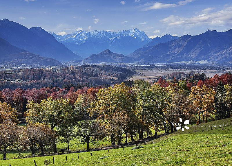 德国上巴伐利亚州慕尔瑙地区的秋季苔藓景观图片素材
