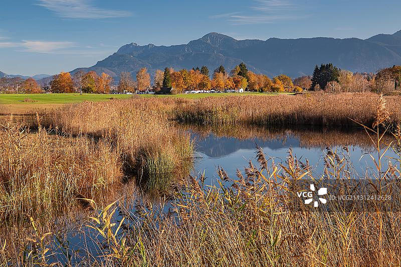 德国巴伐利亚阿尔奇河秋景：赫尔佐格山和海姆加滕图片素材