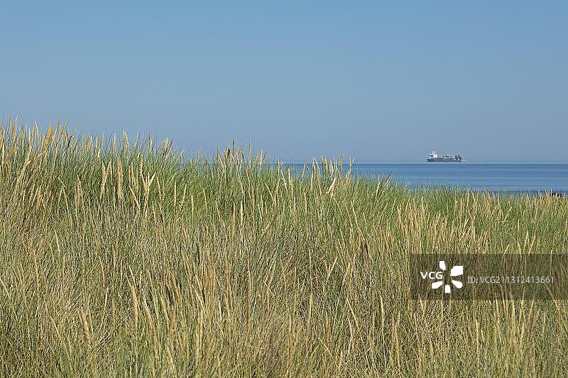 欧洲沙滩草与沙丘图片素材