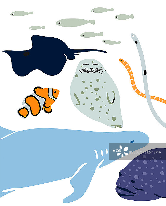 海洋动物图片素材