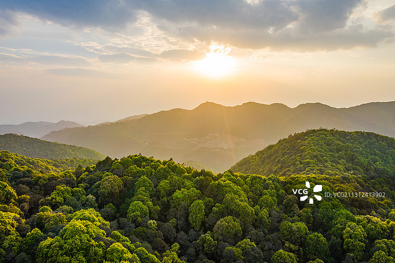 云南省玉溪市峨山县高香万亩茶园图片素材