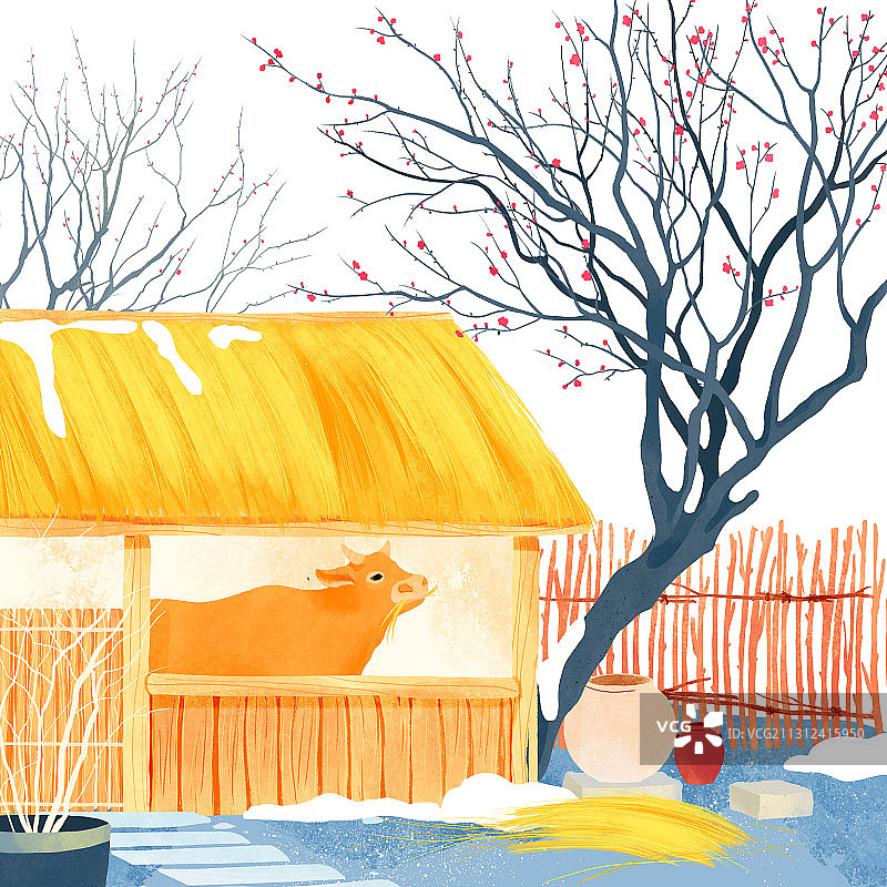 一月牛棚稻草保温男孩红梅花树插画图片素材