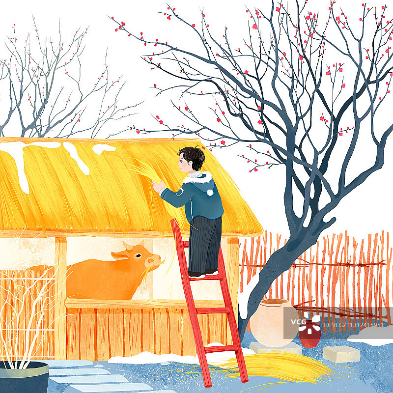 一月牛棚稻草保温男孩红梅花树插画图片素材