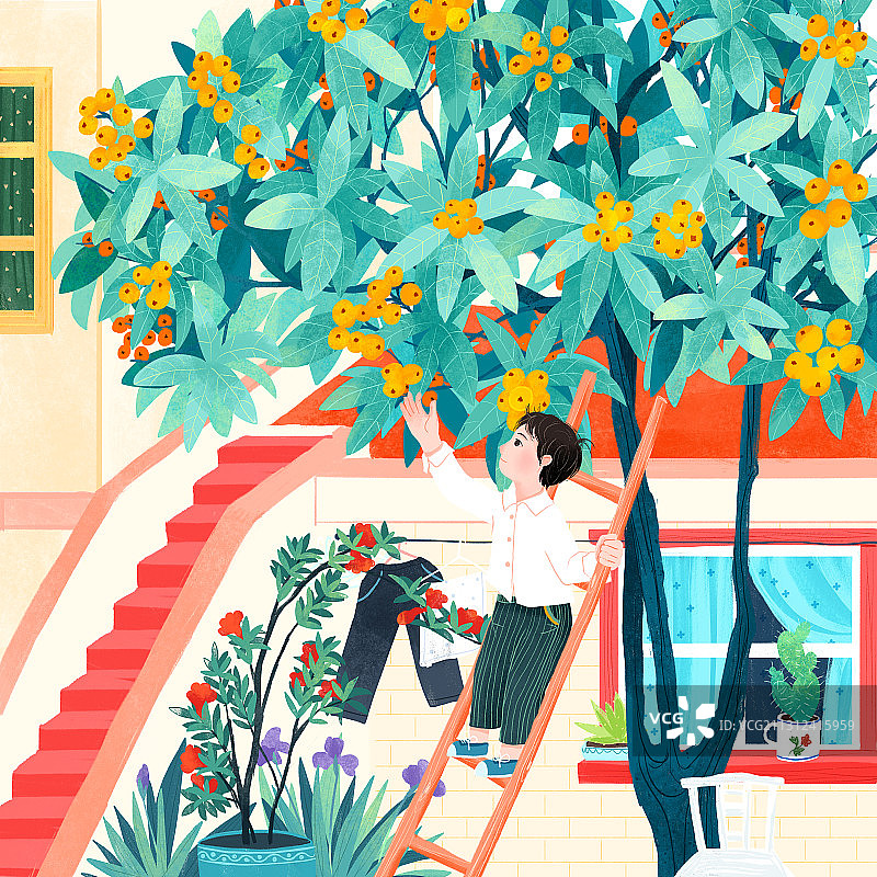 五月枇杷树男孩爬梯子院子童趣插画图片素材