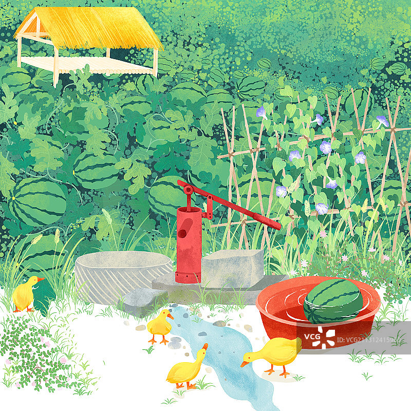 六月夏至西瓜地吃西瓜水井鸭子插画图片素材