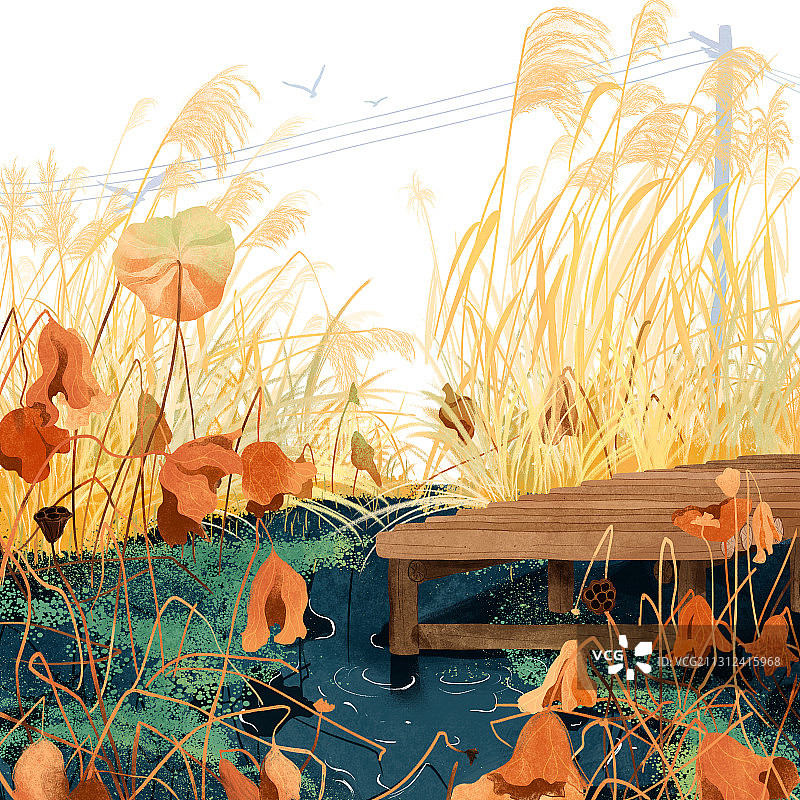 十月残荷池塘芦苇木桥秋季插画图片素材