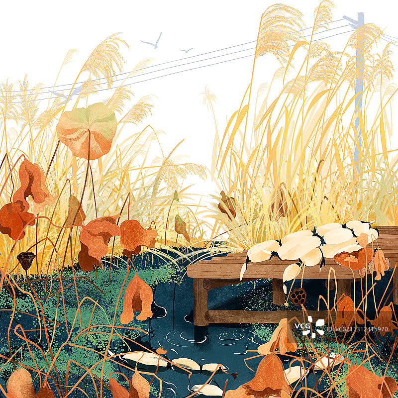 十月残荷池塘芦苇莲藕木桥秋季插画图片素材