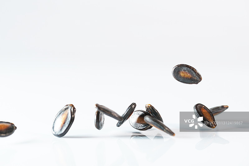 高速跳动的零食西瓜子白色背景棚拍广告素材图片素材