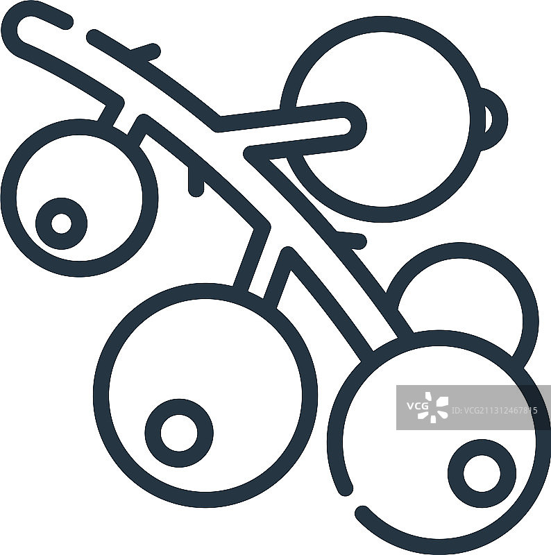 浆果图标（可编辑描边）图片素材