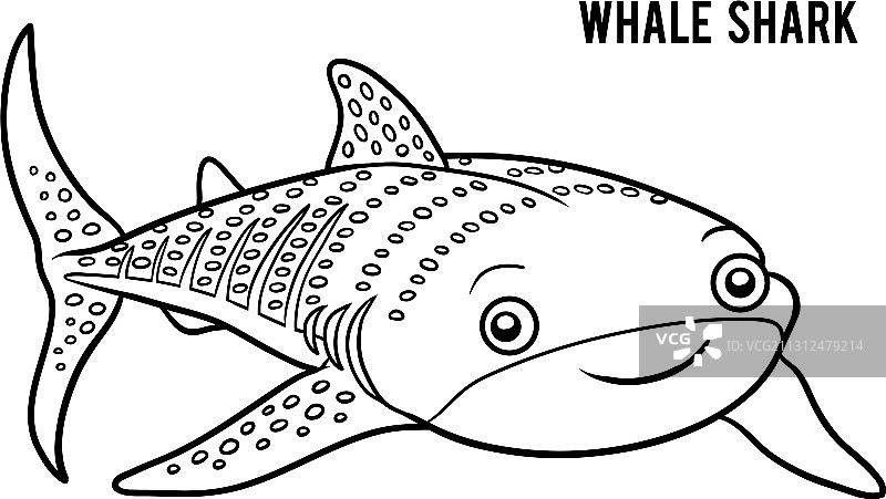 鲸鲨涂色书图片素材