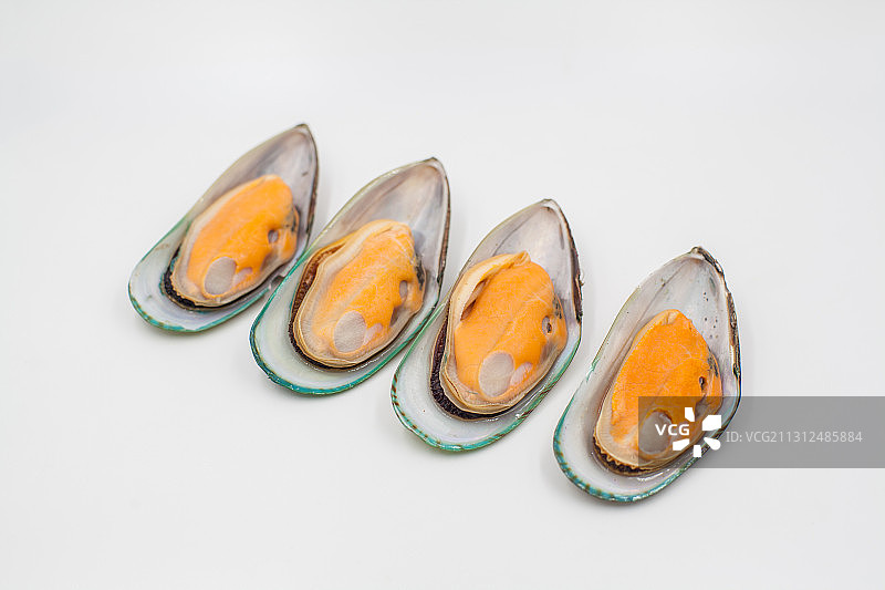 棚拍的一些青口贻贝图片素材