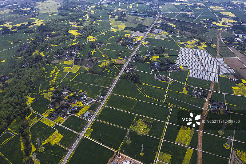 成都平原的春天图片素材