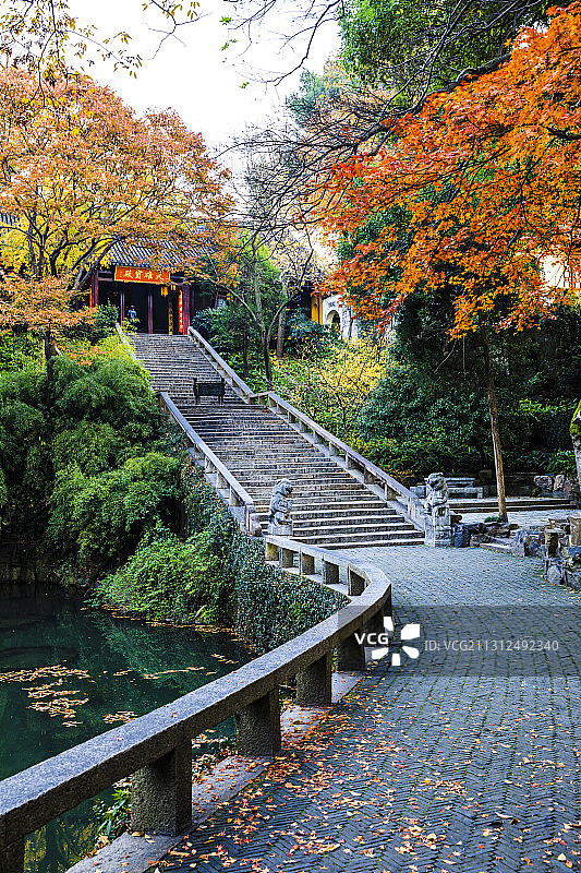 江苏苏州虎丘风景名胜区，秋季风光图片素材