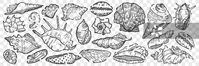 手绘贝壳涂鸦素材图片素材