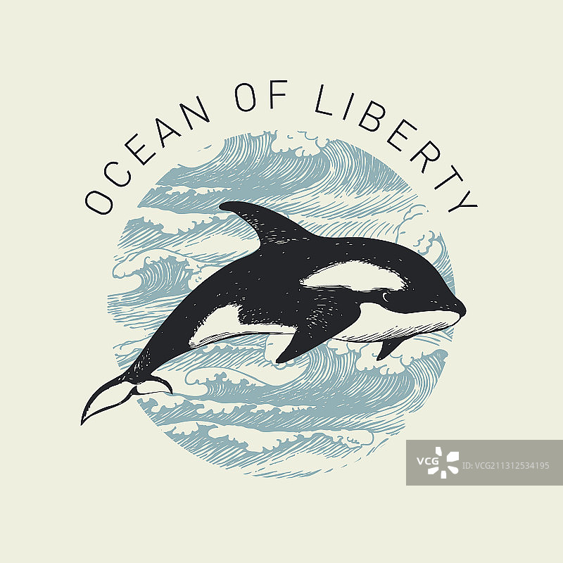 手绘鲸鱼海浪banner图片素材