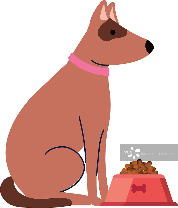 白色背景上，宠物狗在吃食物图片素材