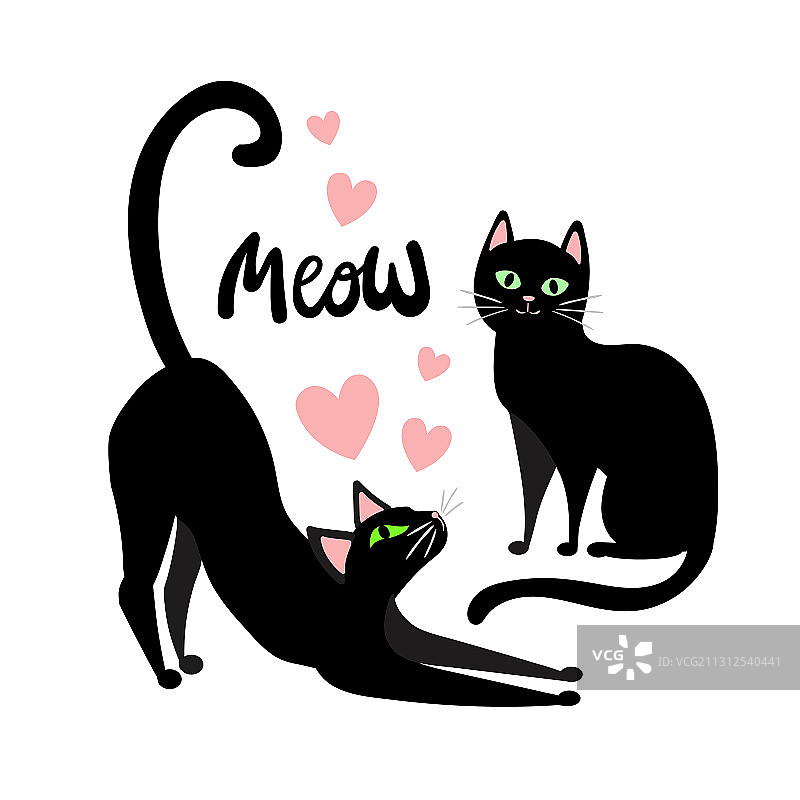 白色背景上的两只绿眼黑猫图片素材