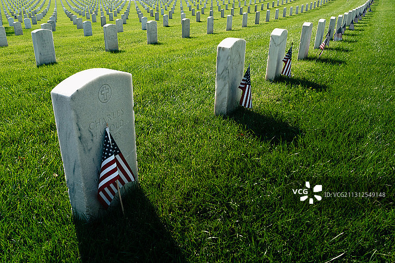 洛杉矶国家墓地飘扬的小国旗图片素材