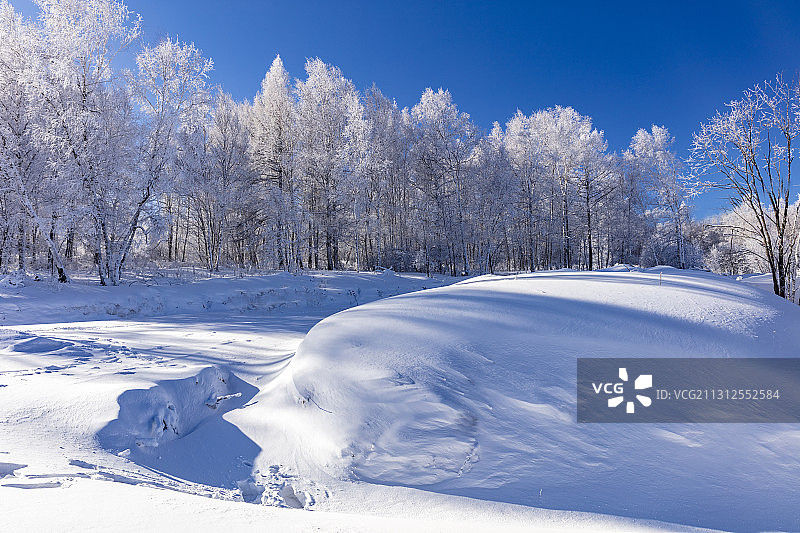 冬季阿尔山雾凇。图片素材