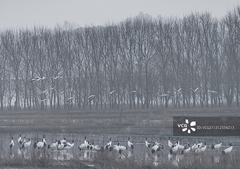 雪后大山包图片素材