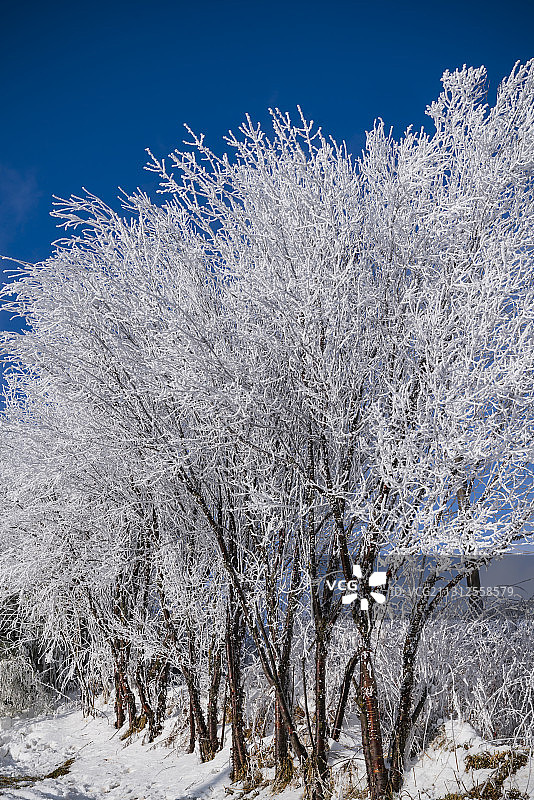 雾凇图片素材