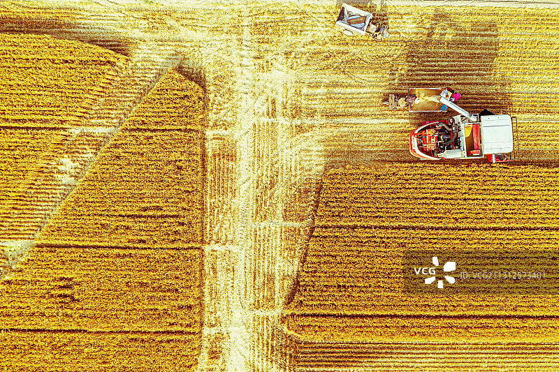 麦收时节10图片素材