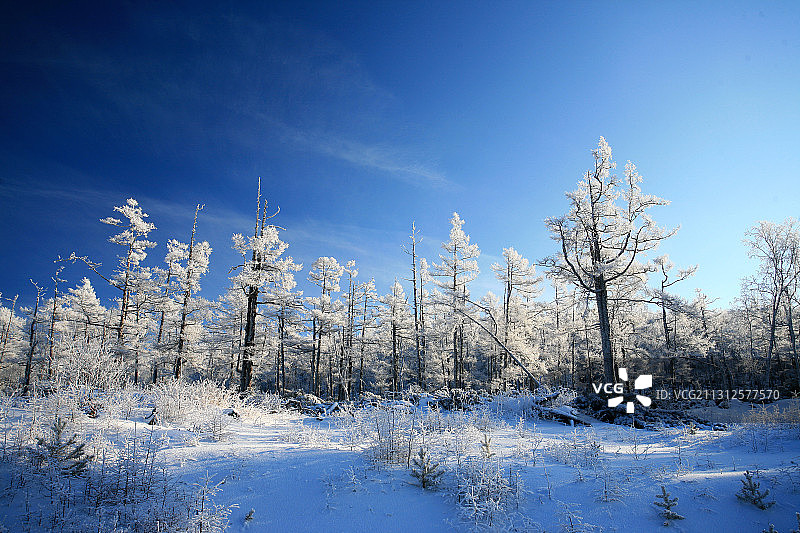 大兴安岭林海雪原风光图片素材
