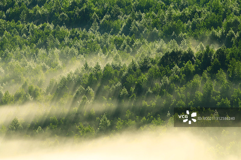 大兴安岭山林云雾升腾图片素材