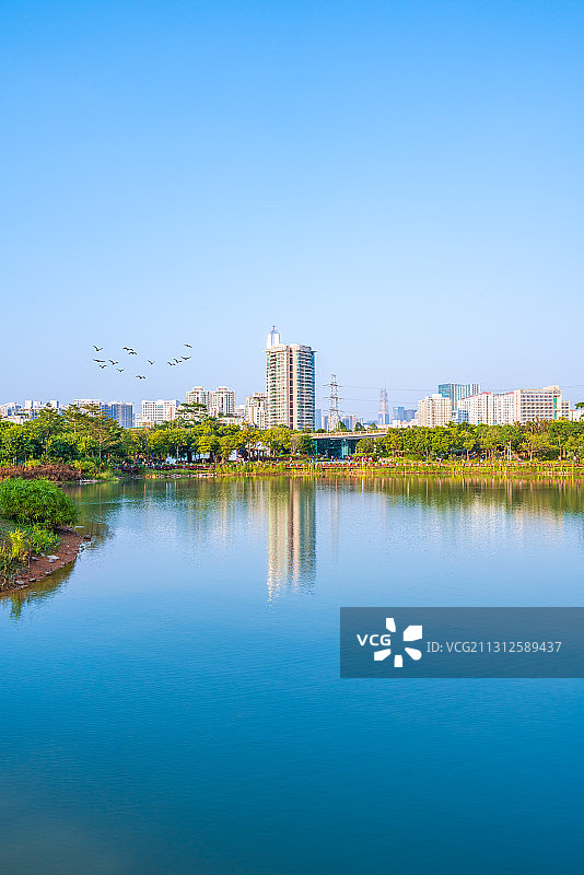 广东省深圳市福田区生态红树林公园黄昏风光图片素材