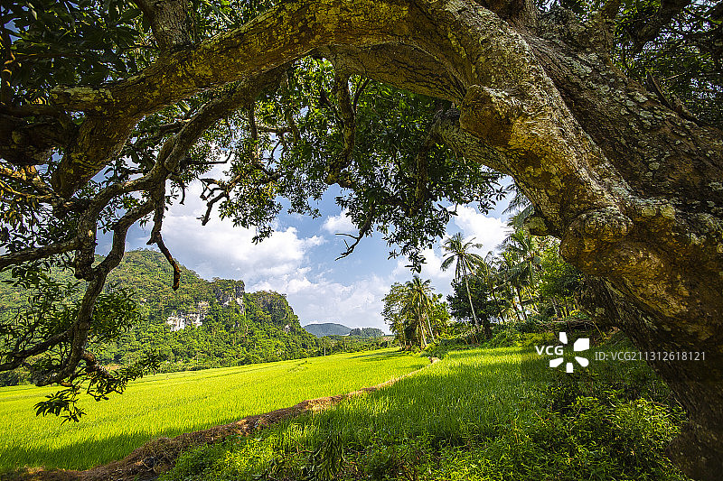 海南风光图片素材