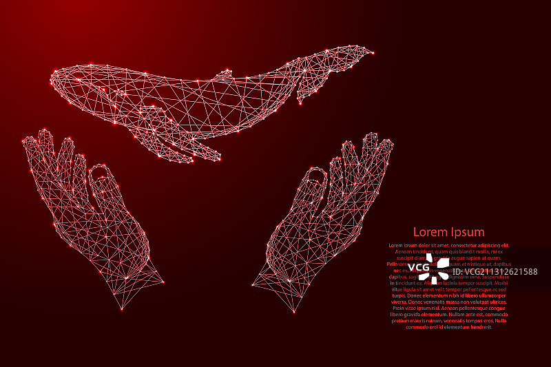 漂浮的鲸鱼与保护之手图片素材