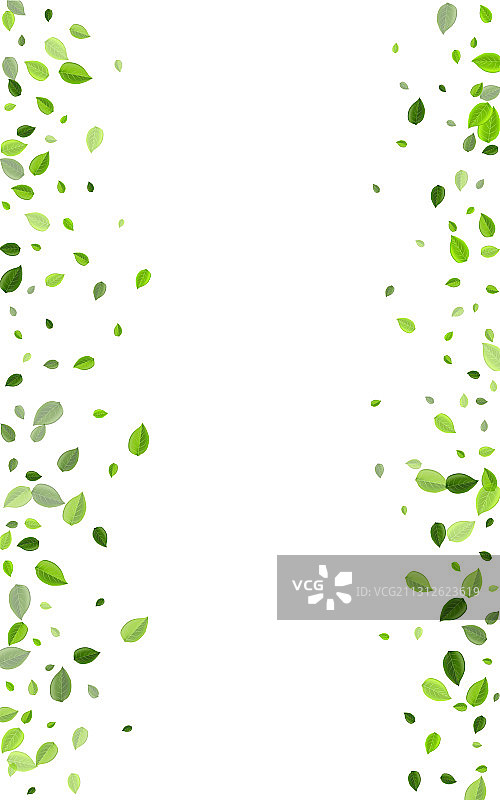 森林树叶模糊概念茶叶图片素材