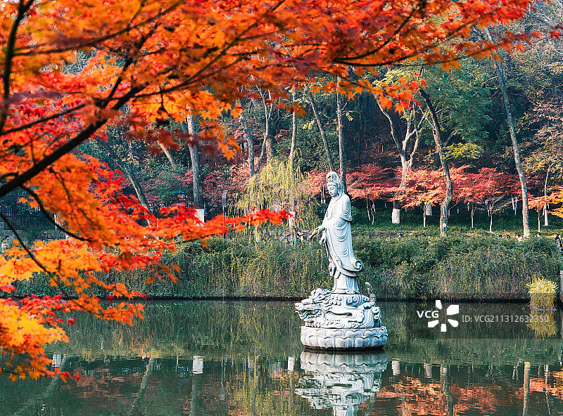 秋色满园图片素材