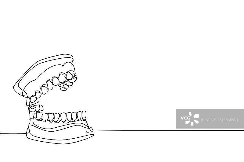 解剖结构连续线条画图片素材