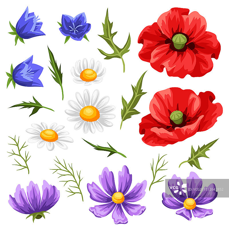 夏季花朵合集图片素材